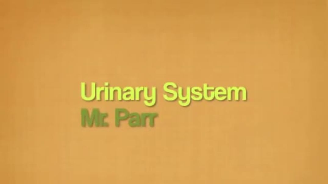 Urinary System Song