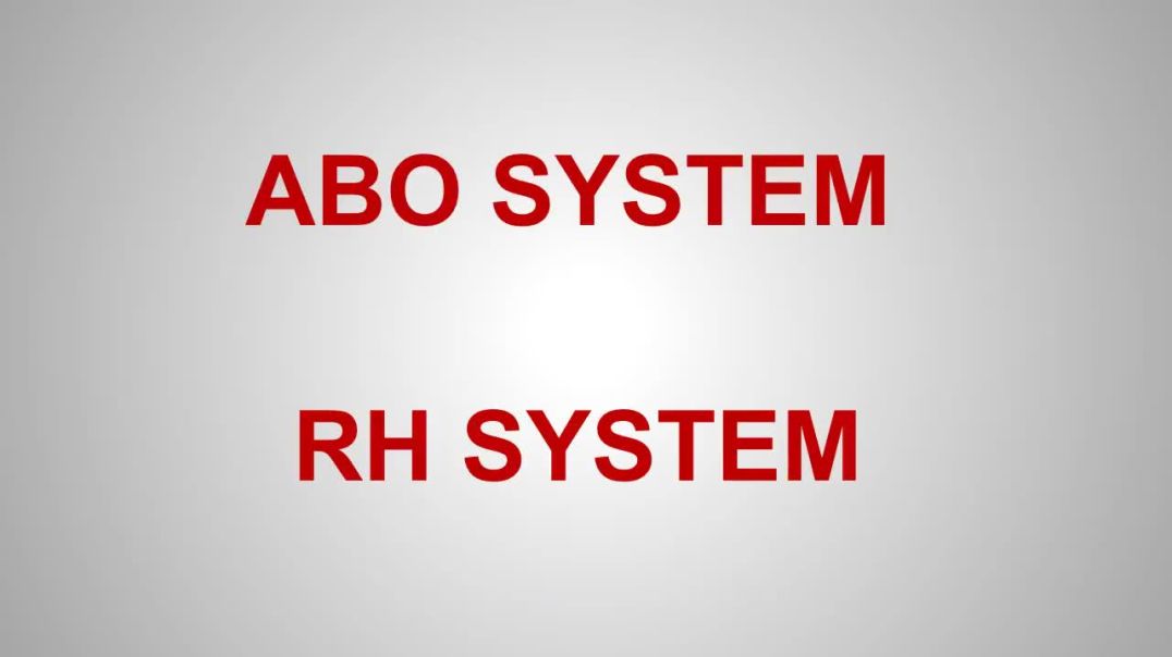 ⁣Blood Types and Rh Factor Explained