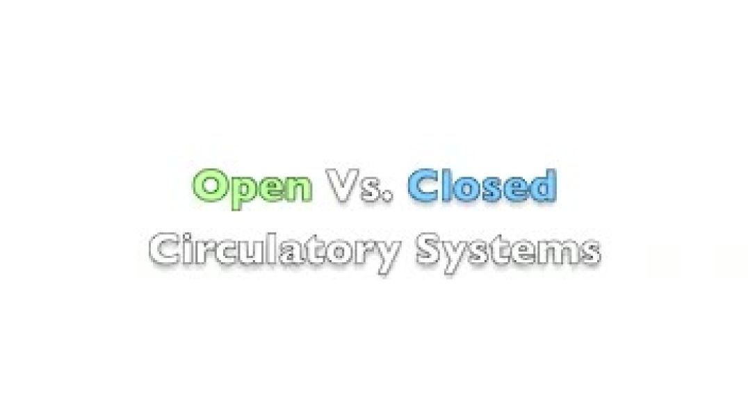⁣Open Vs, Closed Circulatory Systems - A Level Biology