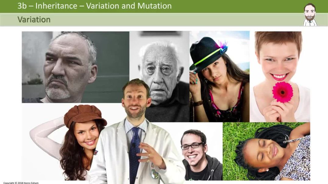 ⁣Variation and Mutation - GCSE Biology (9-1)