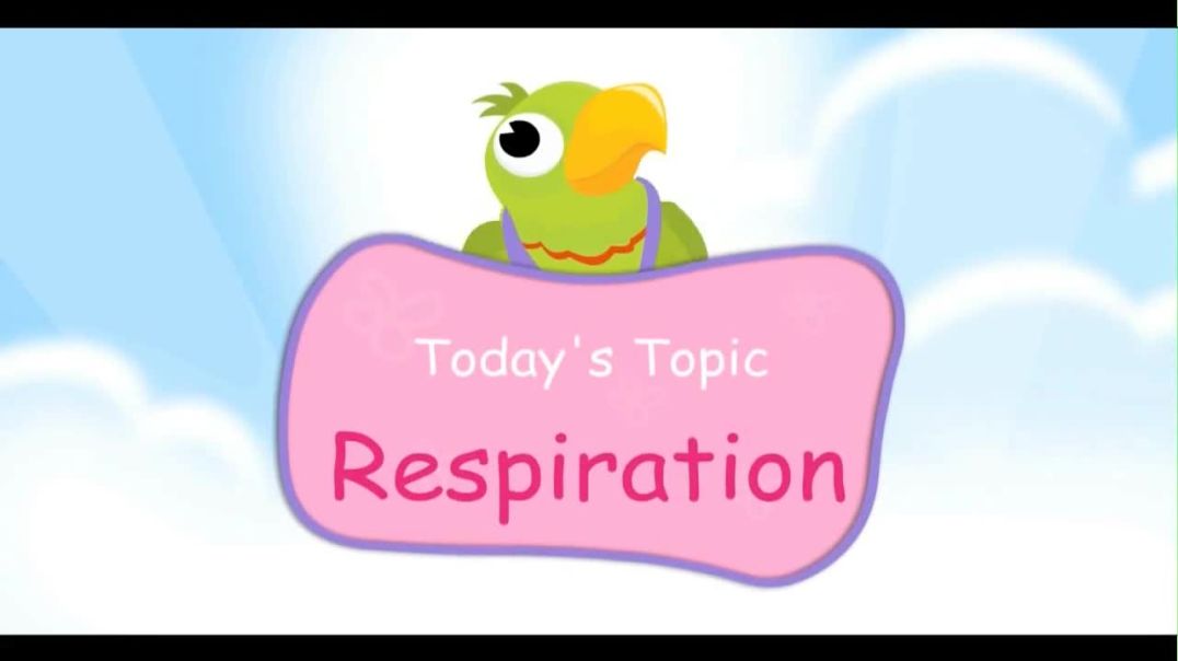 ⁣Respiratory System  for Kids - Breathing