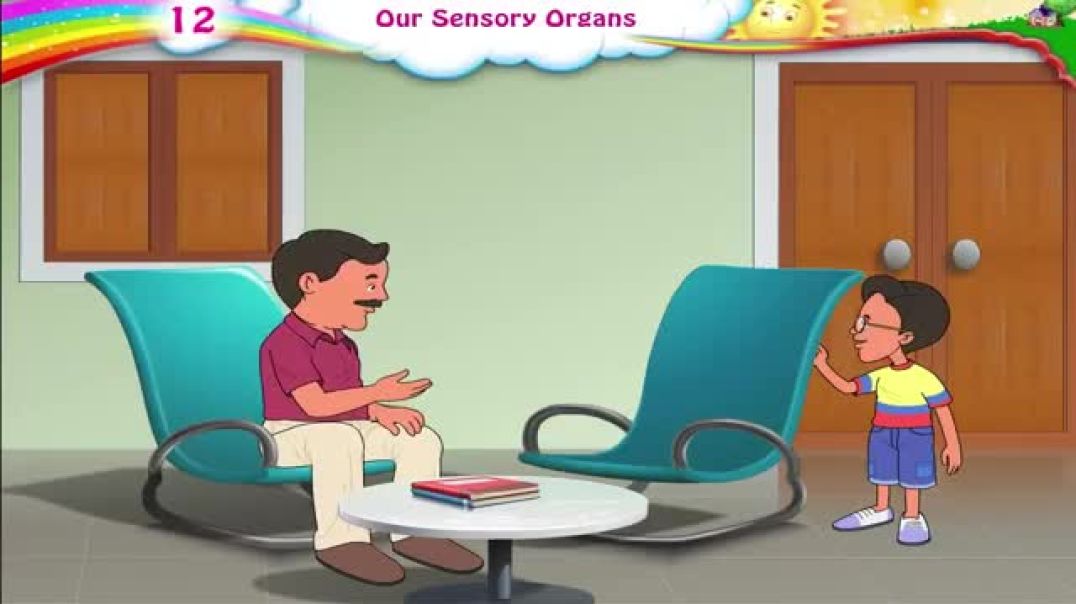 ⁣Learn Grade 3 - Science - Sensory Organs