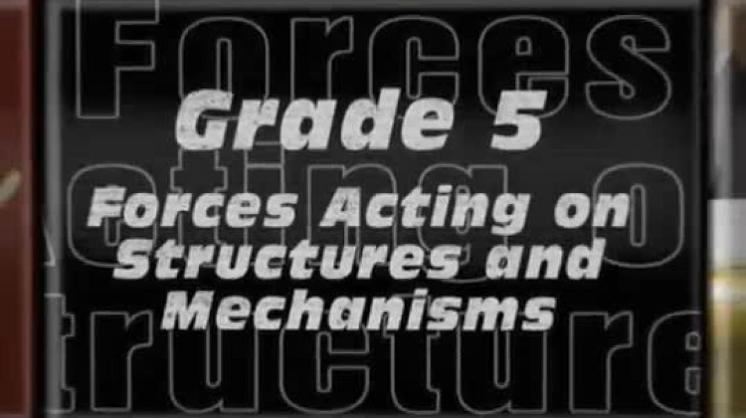 ⁣Grade 5 - Forces Part 1