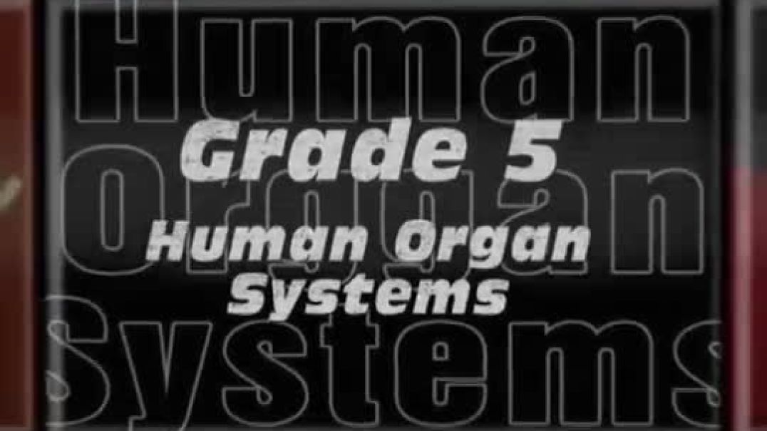 ⁣Grade 5 - Human Organ Systems Part 1